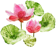 花 花